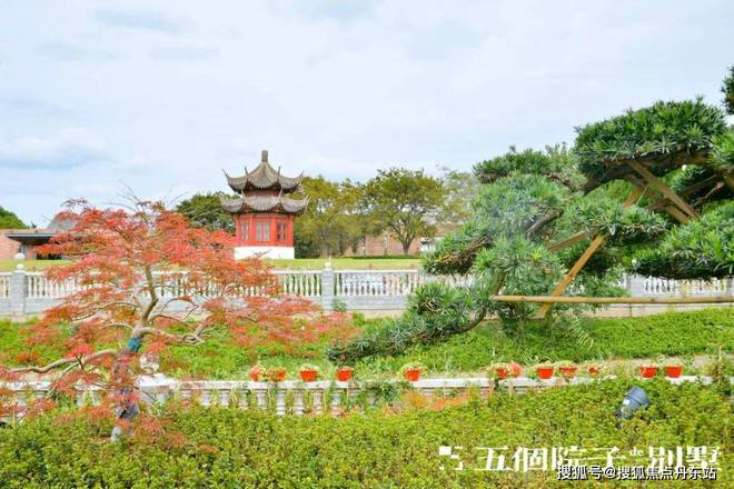 -售楼处网站--测评-上海房天下九游会J92024五个院子的别墅(图9)