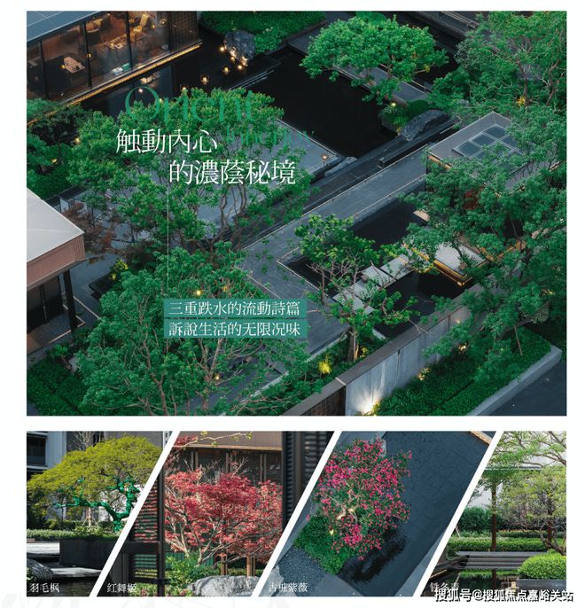站-‍保利海上臻悦不利因素-‍j9九游会登录保利海上臻悦网(图22)