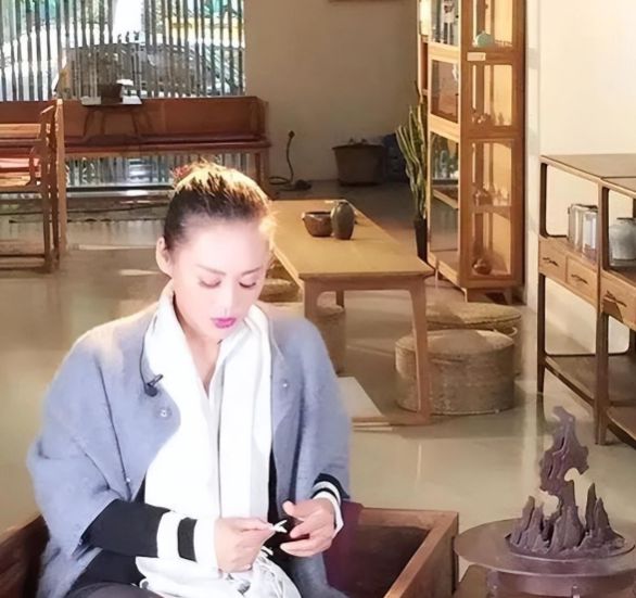 静家气派万茜家低调张雨绮家才是真豪宅j9九游真人游戏第一平台明星豪宅：宁(图8)