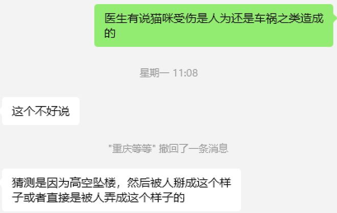 到一只奇形怪状的蓝猫结果真相是…九游会网址是多少太造孽了！网上刷(图5)